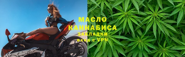 сатива Алзамай