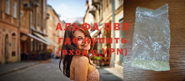 сатива Алзамай